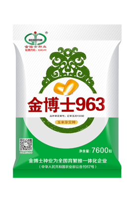 金博士963