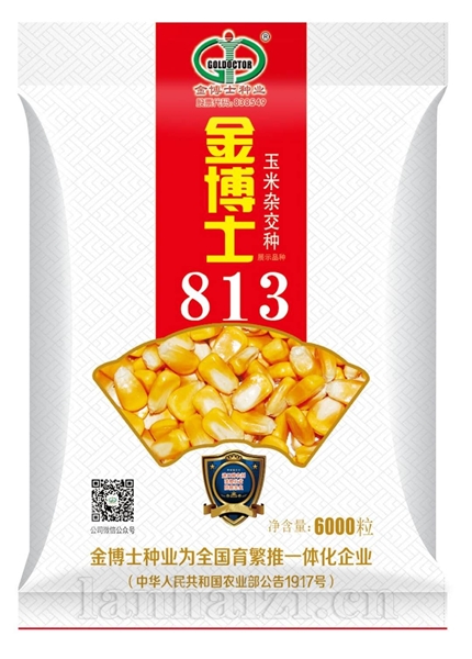 金博士813（6000粒）