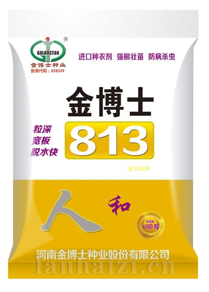 金博士813（人和）