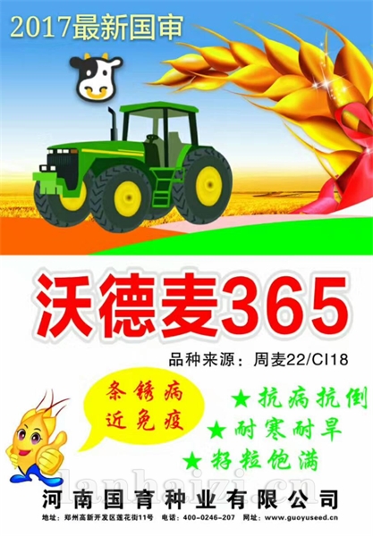 沃德麦365