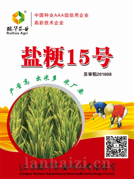 盐粳15号
