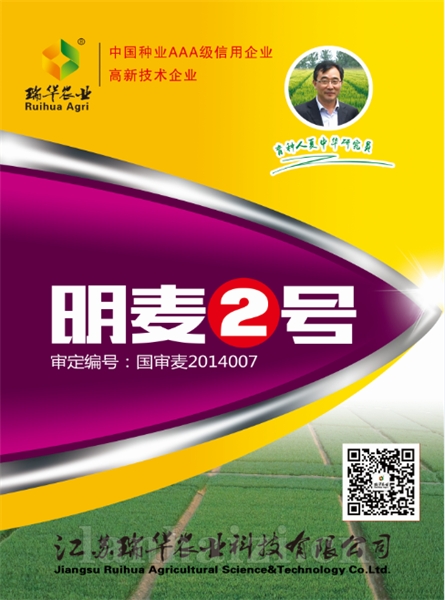 明麦2号