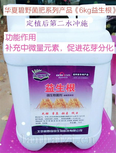 益生根