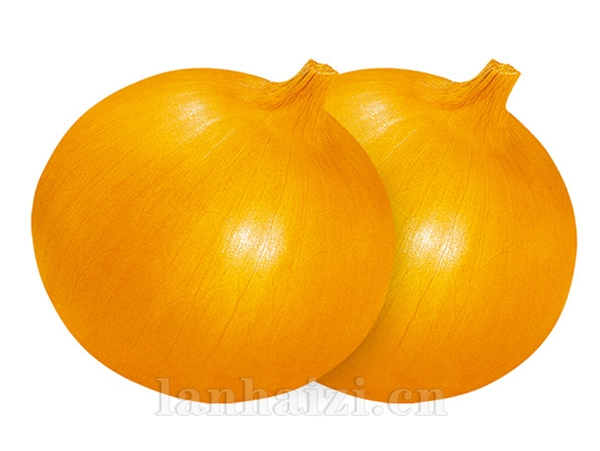 金地
