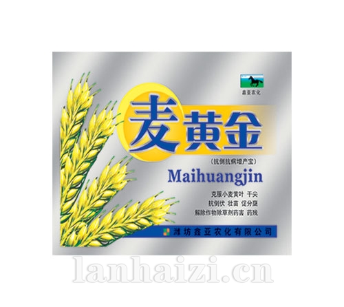 麦黄金