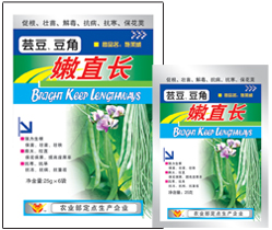  芸豆、豆角嫩直长