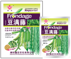 豆满藤