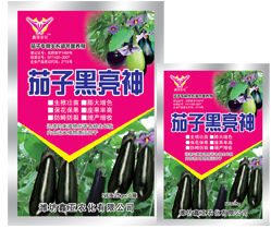 茄子黑亮神