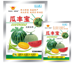  瓜丰宝