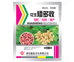 花生矮多收