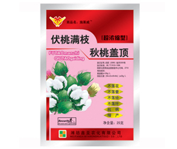 伏桃满枝秋桃盖顶