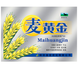 麦黄金