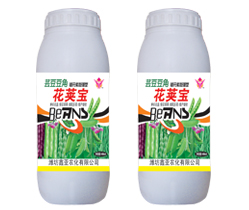 芸豆豆角花荚宝