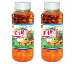 果丰叶宁