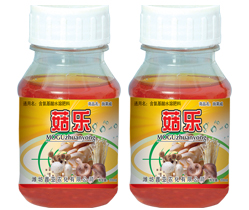 菇乐