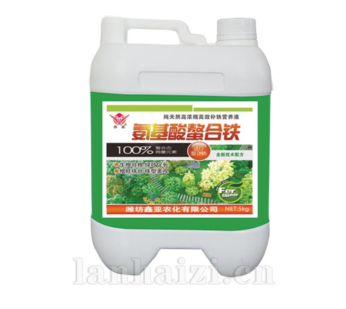  氨基酸螯合铁