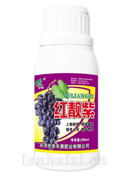 红靓紫200ml