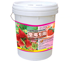 草莓专用