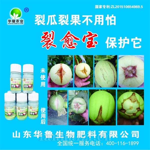 裂愈宝