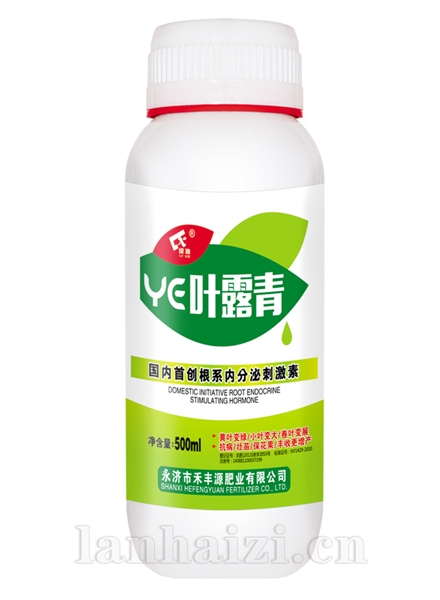 叶露青