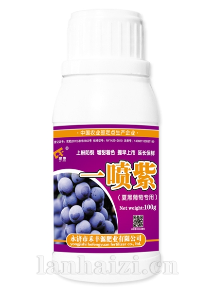 一喷紫100g