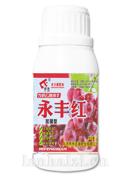 永丰红加强型