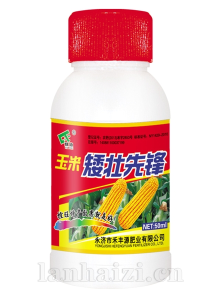 玉米矮壮先锋50ml