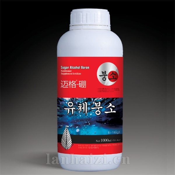 迈格·硼