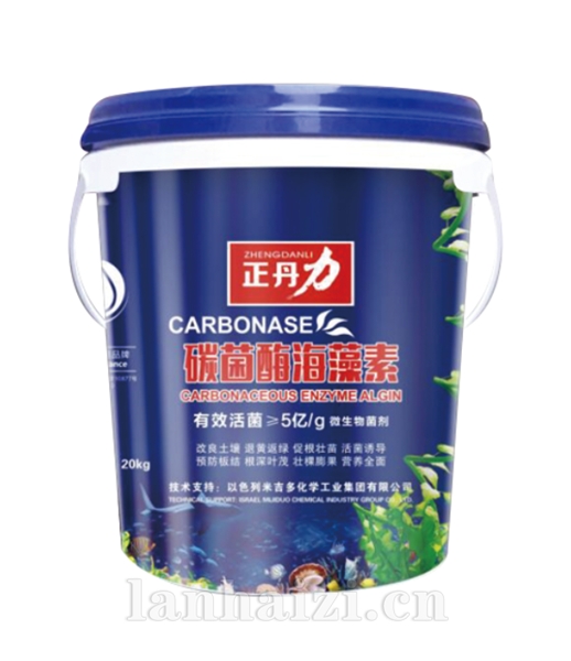 碳菌酶海藻素