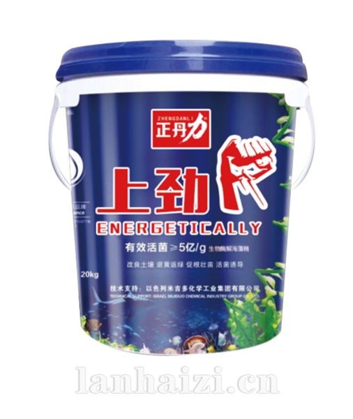 上劲