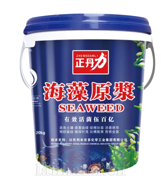海藻原浆