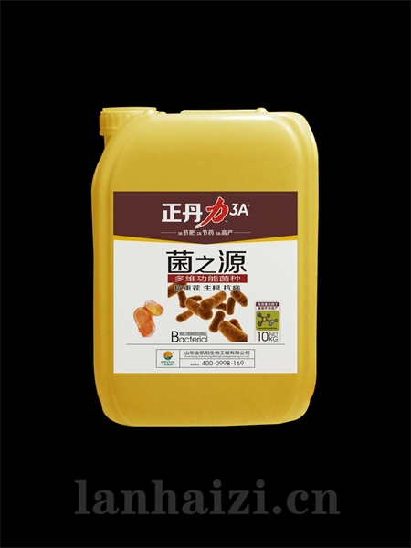 菌之源