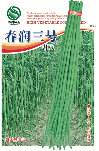 春润三号——豇豆种子