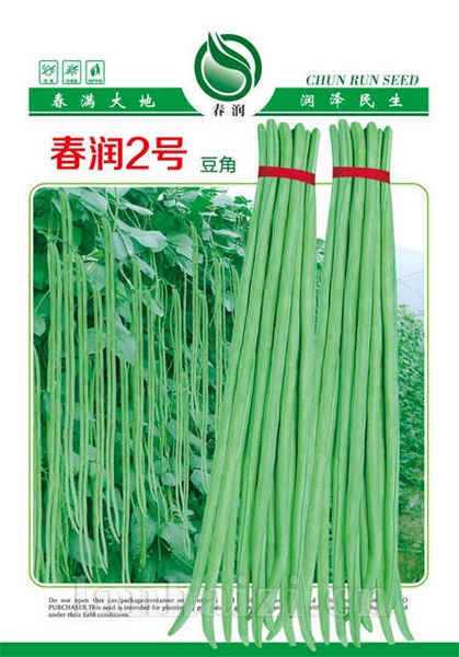 春润2号——豇豆种子