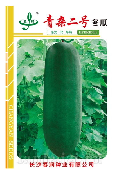 青杂二号冬瓜——冬瓜种子