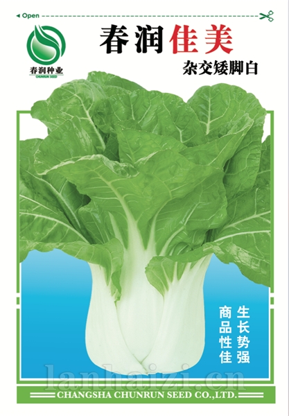 春润佳美——白菜种子