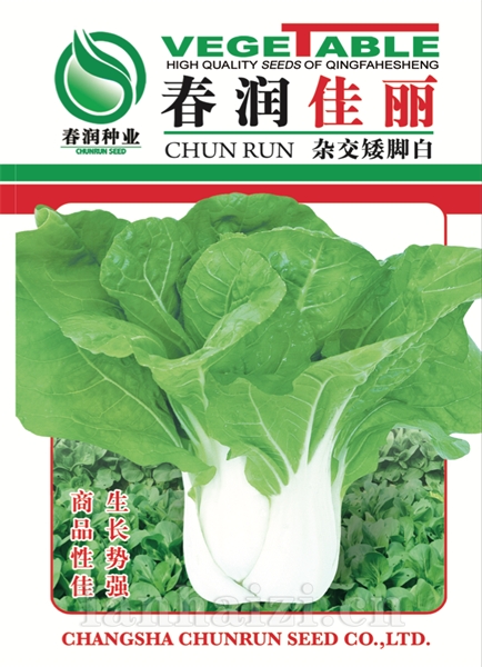 春润佳丽——白菜种子