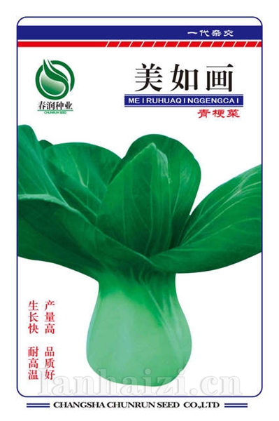 美如画——其他种子