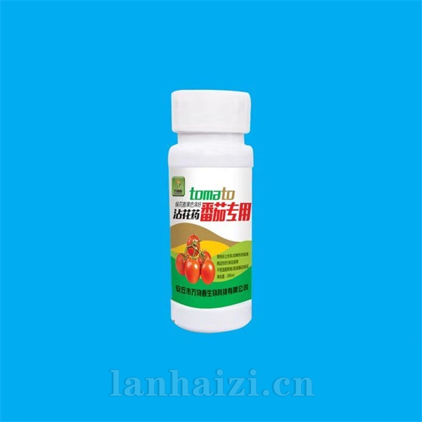 番茄专用沾花药