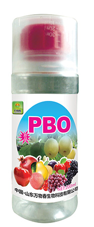 PBO