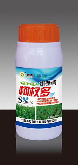 壮根返青柯杈多500ml