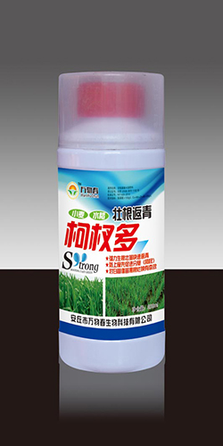 壮根返青柯杈多200ml