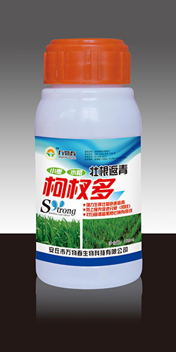壮根返青柯杈多100ml