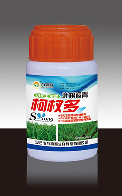壮根返青柯杈多60ml