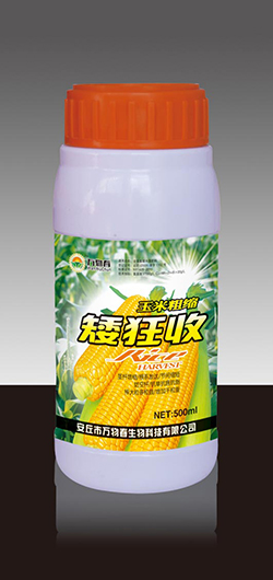 玉米粗缩矮狂收500ml