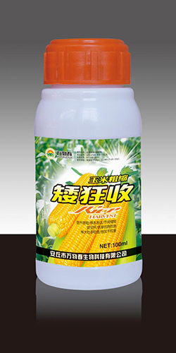 玉米粗缩矮狂收100ml