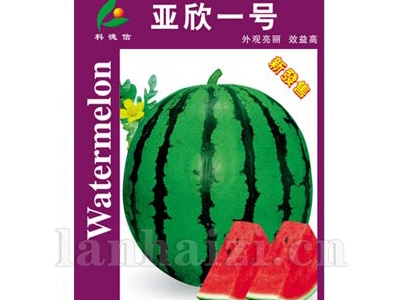 亚欣一号