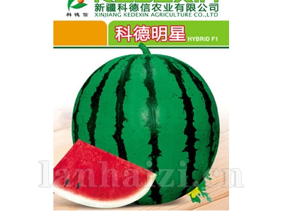 科德明星