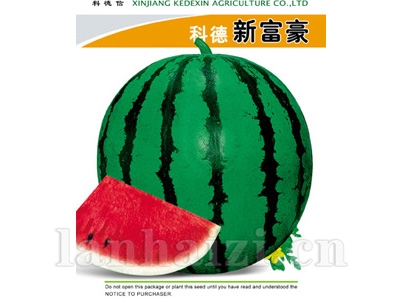 科德新富豪