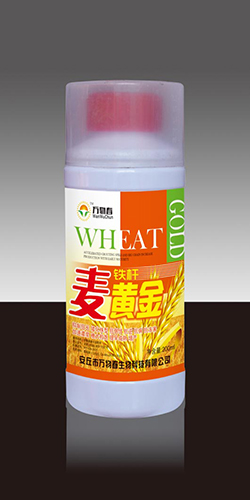 铁杆麦黄金200ml
